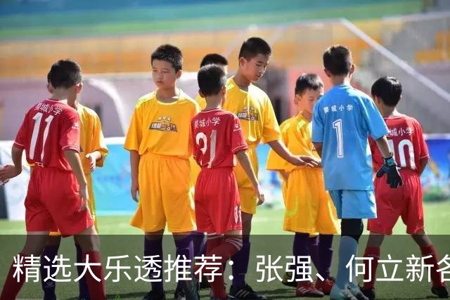 精选大乐透推荐：张强、何立新各擒二等102万！