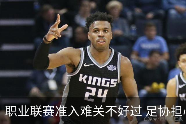 职业联赛准入难关不好过 足协担心并不是多余