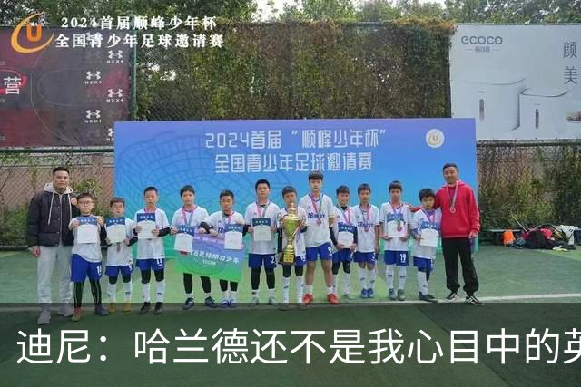 迪尼：哈兰德还不是我心目中的英超历史前10前锋
