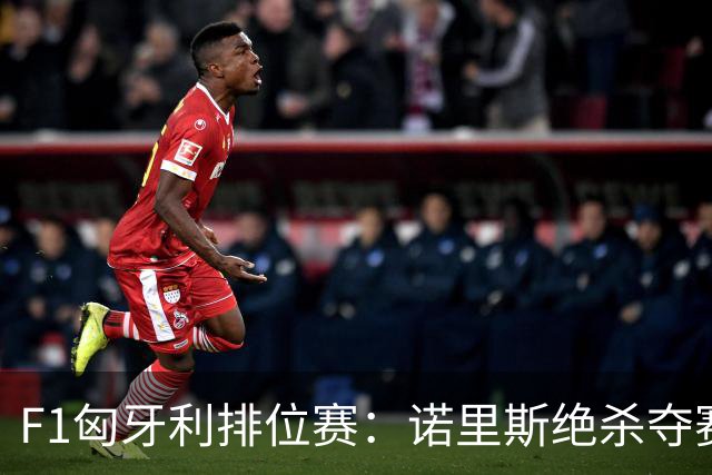 F1匈牙利排位赛：诺里斯绝杀夺赛季正赛首杆，汉密尔顿第二